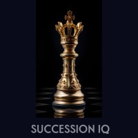 successioniq logo - Similar company to Ydts - Digital Transformation Solutions