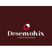 Desenvolvix logo - Similar company to Consulting