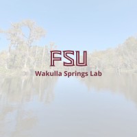 FSU Wakulla Springs Lab logo - Similar company to Dye It Red