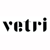 Vetri Gallery logo - Similar company to Mgc Technical Consulting