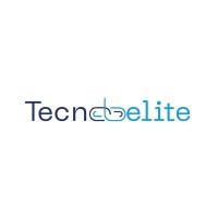 TecNobelite Technologies logo - Similar company to Intellisync Solutions