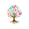 Rainbow One logo - Similar company to Bukona Agro Processors Ltd