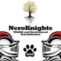 Neroknights