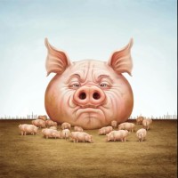 The Balds And Their Piglets logo - Similar company to Bibis