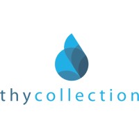 Thy Collection logo - Similar company to Dreams Wedding