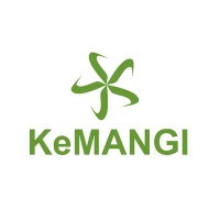KeMANGI logo - Similar company to Trigonal Software