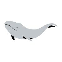 Greywhale llc. logo - Similar company to Create Your Dreams (Cyd)