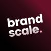 Brand Scale logo - Similar company to Data Crowd
