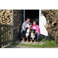 Coachen met Honden | Opleidingscentrum logo - Similar company to Raige