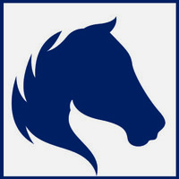 Regiment Advisory Services logo - Similar company to Lancy Co., Ltd