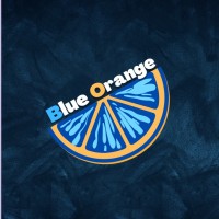 Blue Orange Consulting logo - Similar company to Beyond Data, Llc