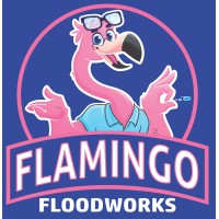 Flamingo Floodworks - Water Damage Experts