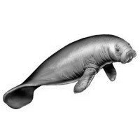 Manatee, Inc. logo - Similar company to Manatee Solar