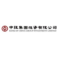 Bank of China Group Investment Limited logo - Similar company to Brr Technology Solutions