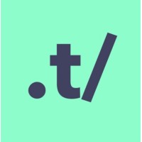 Transilient Business Consulting logo - Similar company to Junk Armor