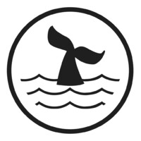 pellybay gmbh logo - Similar company to Liquid Cinema