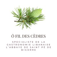 Ô fil des cèdres logo - Similar company to Ehpad Les Balcons Du Hautacam, Argeles-Gazost, Vieuzac, Canarie, Ayzac-Ost