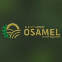 Osamel logo - Similar company to Planet Group Osamel Sa De Cv Sofom Enr