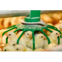 Poultry Farm of India logo - Similar company to Shakti Feed