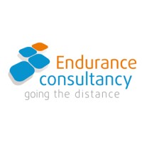 Endurance Consultancy logo - Similar company to Nicebyte | Jouw Ict, Nice Geregeld Tot In Elke Byte