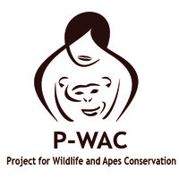 P-WAC. logo - Similar company to Era Music