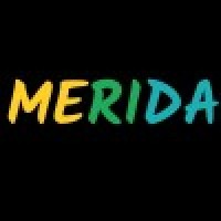MERIDA TECH MINDS (OPC) PVT LTD logo - Similar company to Tech Minds