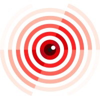 Lease Protect France logo - Similar company to Finalease Group Security