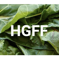 Hawai'i Greens Freight Farm logo - Similar company to Vissidus Technologies, Inc.