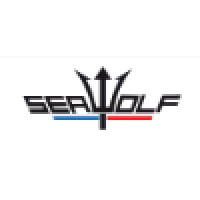 PIRENN-SEAWOLF logo - Similar company to Seawolf Oil Fields Services