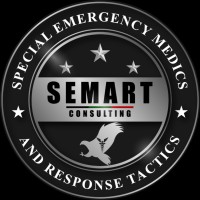 SEMART Consulting logo - Similar company to Hojo Solutions