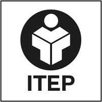 IT Emerging Partners logo - Similar company to It Helpdesk Inc (A Seasia Company)