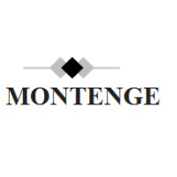 Construtora Montenge logo - Similar company to Construtora Premocil