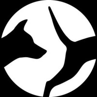HotDog Pets logo - Similar company to Millieri Studio