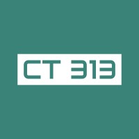 Coder Team 313 logo - Similar company to Auiq Engineering Technical College