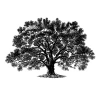 BlackOak Advisors logo - Similar company to Startvest