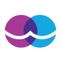 Wise Medical Laser logo - Similar company to Scanex Medical Systems As