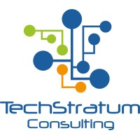 TechStratum Consulting logo - Similar company to Think Startup