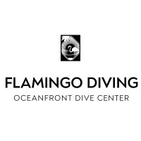 Flamingo Diving