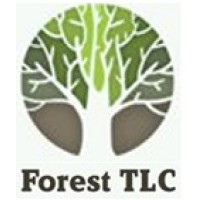 Forest Tlc
