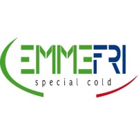 Emmefri srl logo - Similar company to Earth Orbit Technologies Inc.