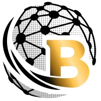 Basarlink logo - Similar company to Celerity Bpo Services