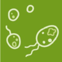 Life MDPI logo - Similar company to Medicalcorp