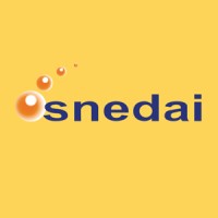 Snedai Côte d'Ivoire logo - Similar company to Skyp Technologies