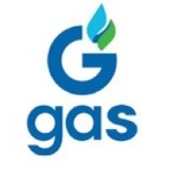 Geogas Pacific logo - Similar company to Dmc Global Pte. Ltd.
