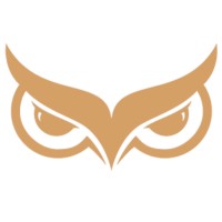 Wise Management Consulting logo - Similar company to Tristar Leadership Group
