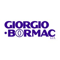 Giorgio Bormac s.r.l. logo - Similar company to Xs Instruments