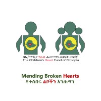 The Children's Heart Fund of Ethiopia logo - Similar company to Lightning Workgroup