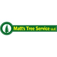 MTS Tree and Landscape logo - Similar company to Boyd'S Tree Service