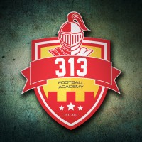 313 Football Academy logo - Similar company to Karachi City Football Club