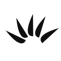 PatternCraft Group logo - Similar company to 11 Tech